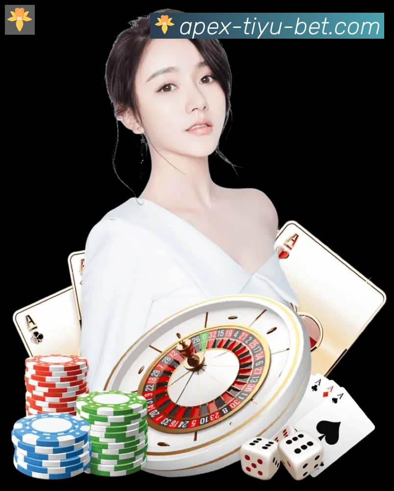 未来规划